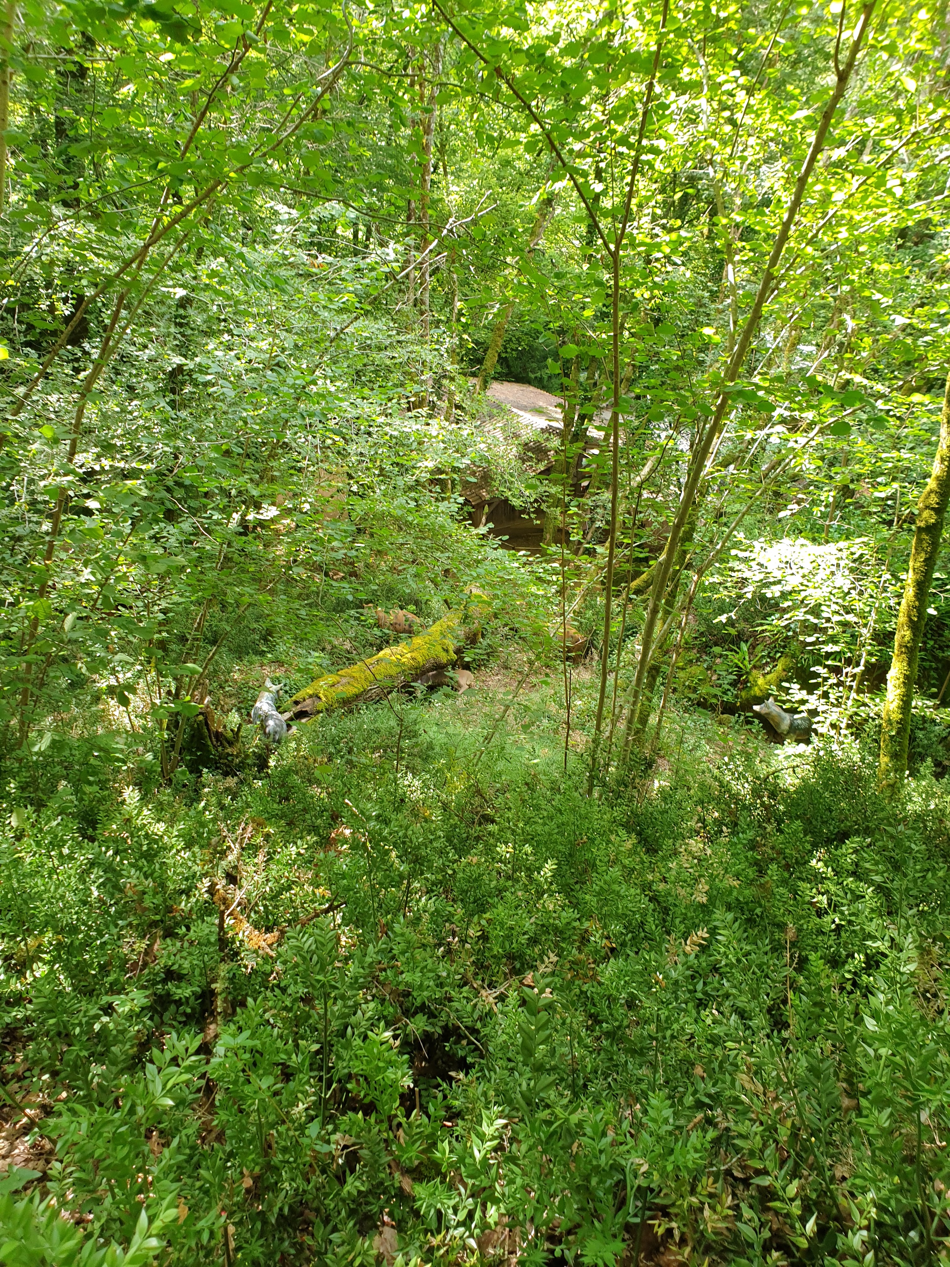 Photo n° 6 de l'avis de Zabelle. fait le 20/07/2021 à 17:44