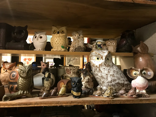 Thrift Store «This & That Thrift», reviews and photos, 11310 SW 208th Dr, Miami, FL 33189, USA