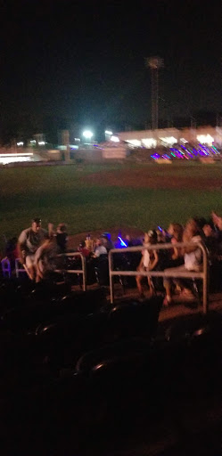 Stadium «Palisades Credit Union Park», reviews and photos