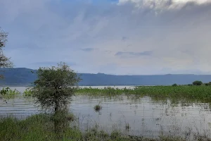 Kanher dam View Point image