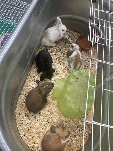 Pet Store «Pet World Ltd», reviews and photos, 14501 Warwick Blvd, Newport News, VA 23608, USA