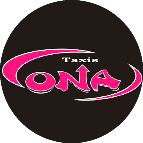 Taxis Ona - Punta Arenas