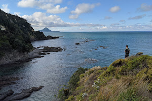 Kohi Point Scenic Reserve