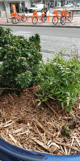 Park «Director Park», reviews and photos, 815 SW Park Ave, Portland, OR 97205, USA