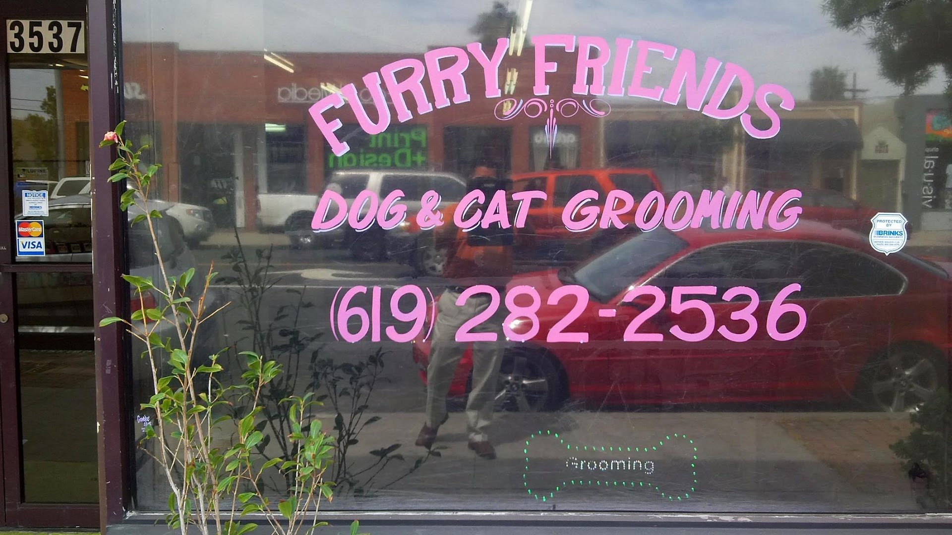Furry Friends Dog and Cat Grooming