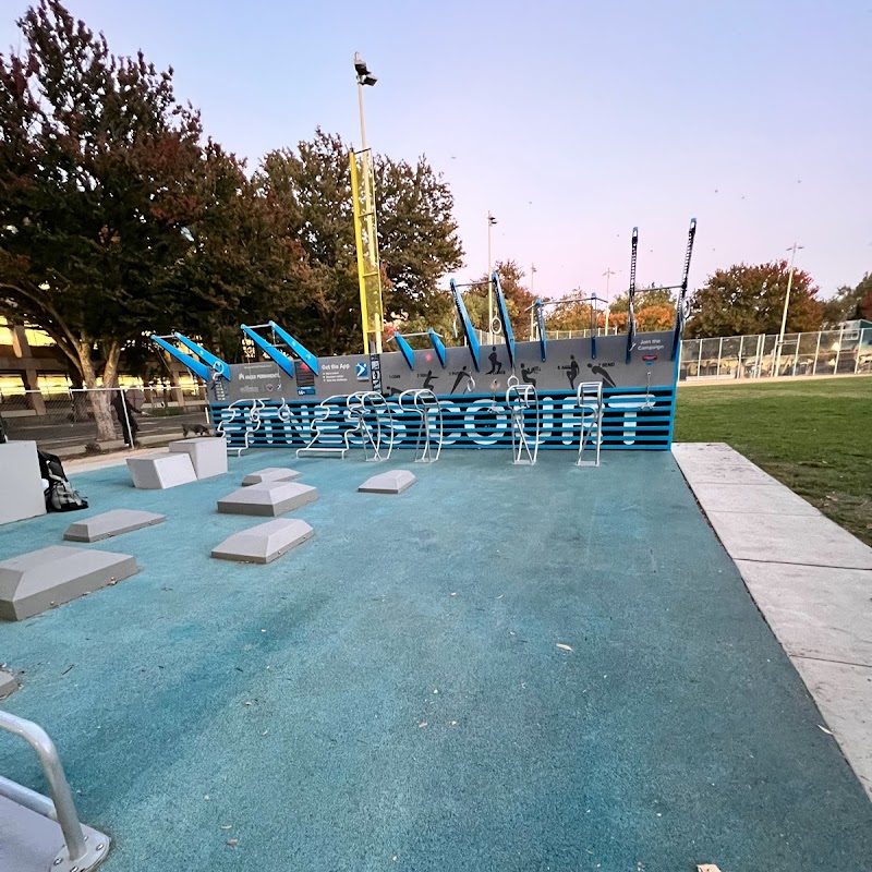 Roosevelt Park Fitness Court