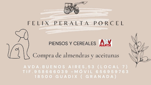 Punto de recogida de almendras y aceitunas Felix Peralta C. Carrera, 18518 Cogollos de Guadix, Granada, España