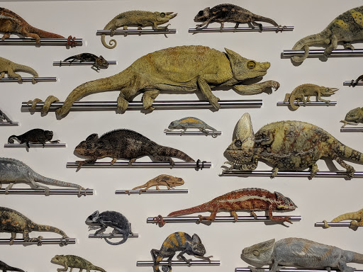 Event Venue «Gallery of Amazing Things», reviews and photos, 481 S Federal Hwy, Dania Beach, FL 33004, USA