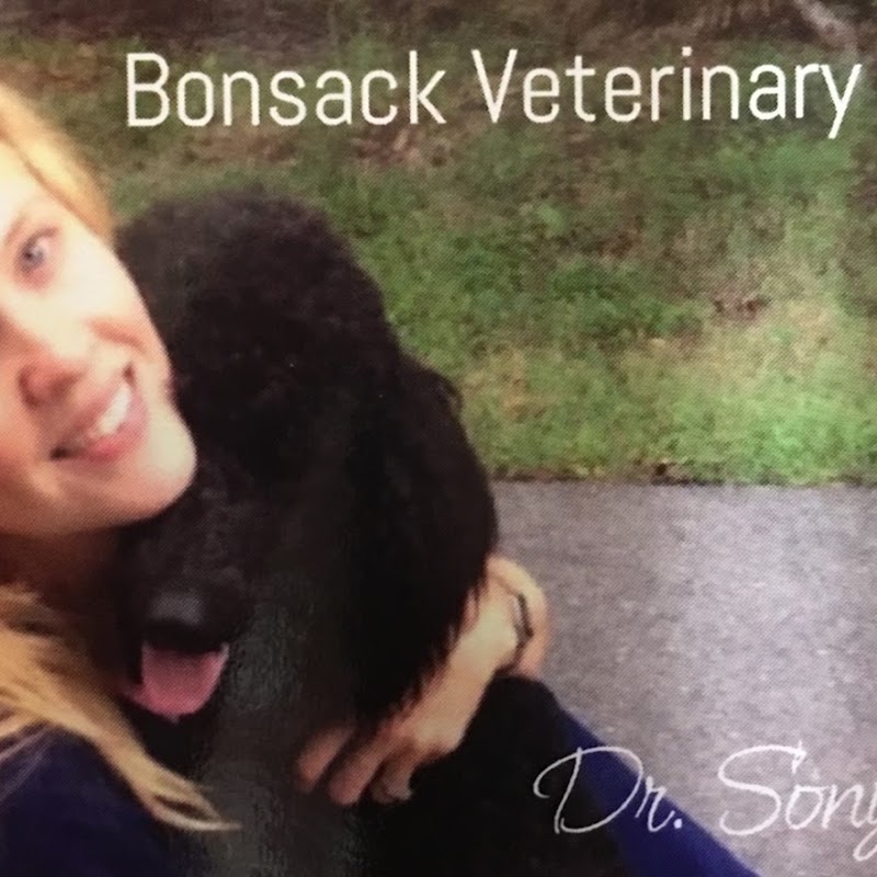 Bonsack Veterinary Hospital