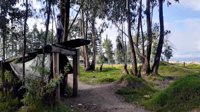 Opiniones de Pista de MTB & Enduro San Pedro padre de la iglesia católica y patrono de Cayambe en Cayambe - Iglesia