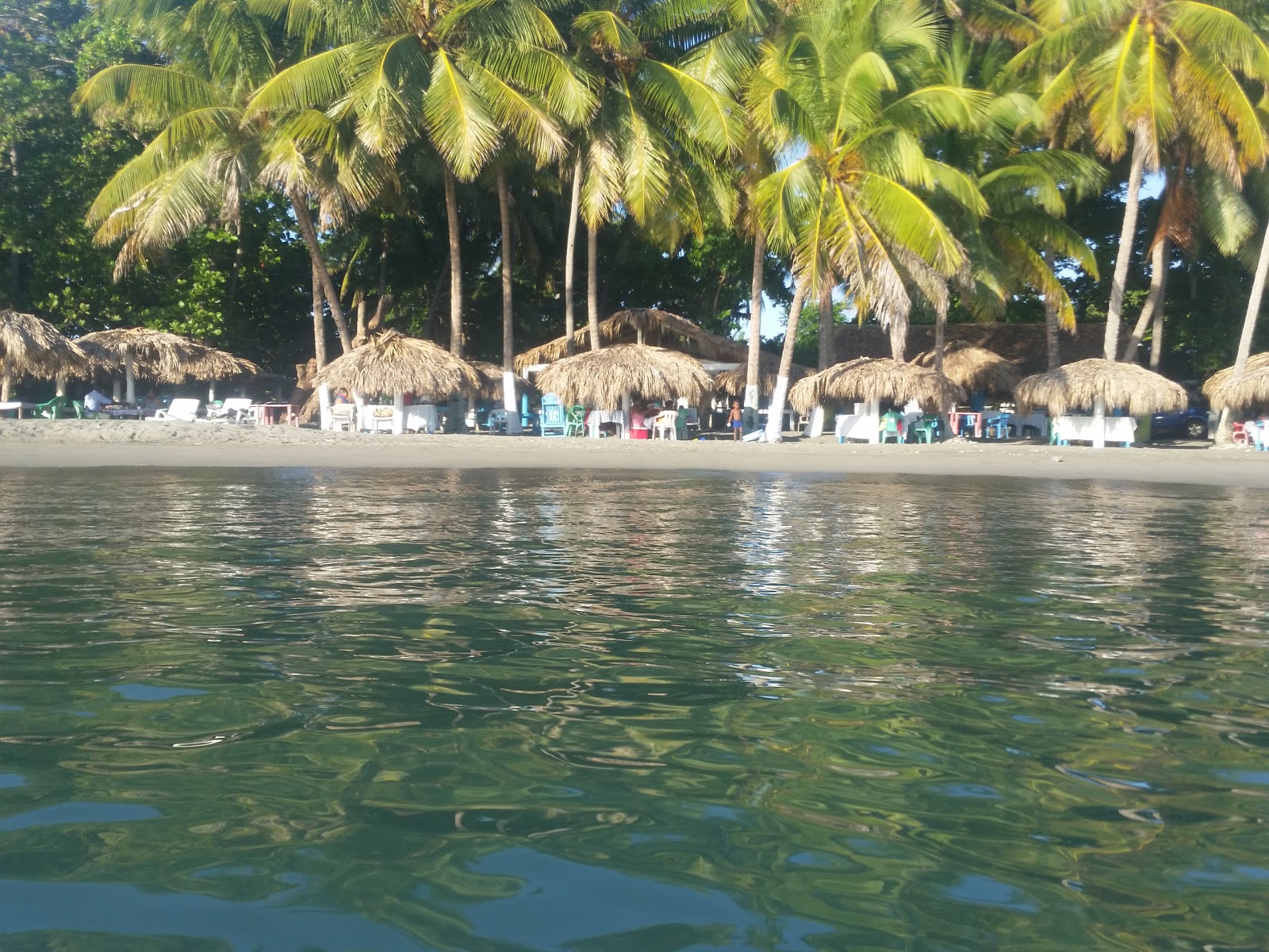 Φωτογραφία του Palenque beach με επίπεδο καθαριότητας εν μέρει καθαρό