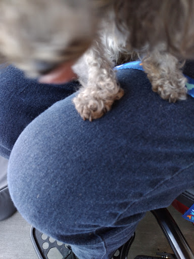 Pet Supply Store «PetSmart», reviews and photos, 17585 Southcenter Pkwy, Tukwila, WA 98188, USA