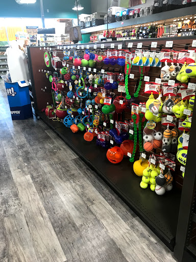 Pet Supply Store «Pet Supermarket, Inc.», reviews and photos, 1052 Peachtree Industrial Blvd, Suwanee, GA 30024, USA
