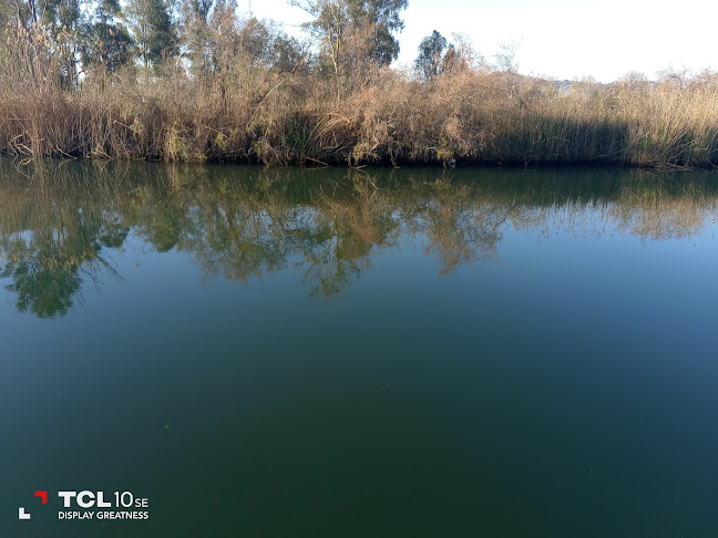 Ψαροκαλυβα Βασίλης - Θεσσαλονίκη