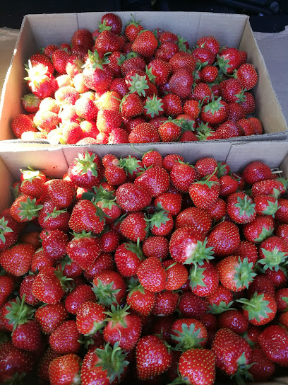 Lunemann's Luney Berries Strawberry Farm