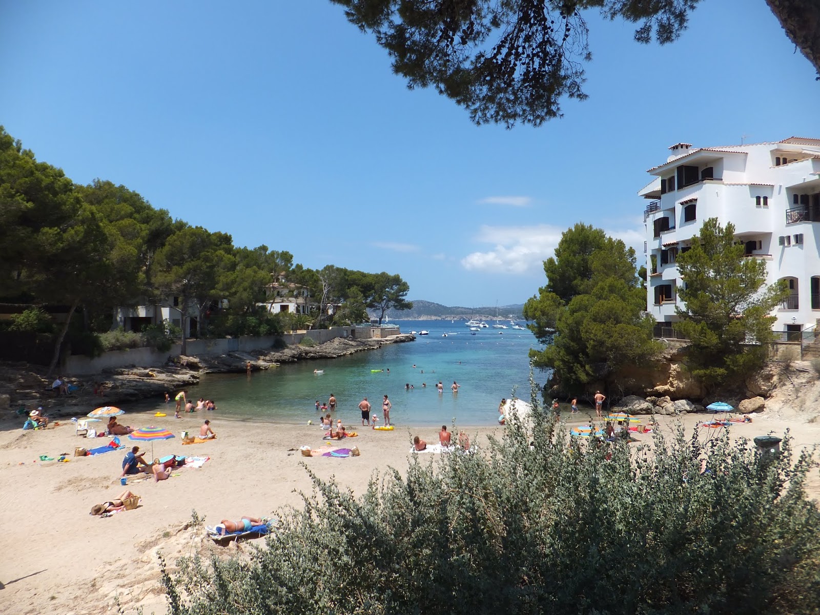 Fotografija Calo d'en Pellicer z modra čista voda površino