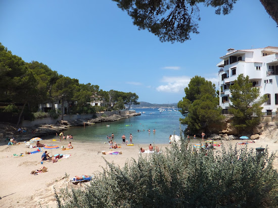 Calo d'en Pellicer