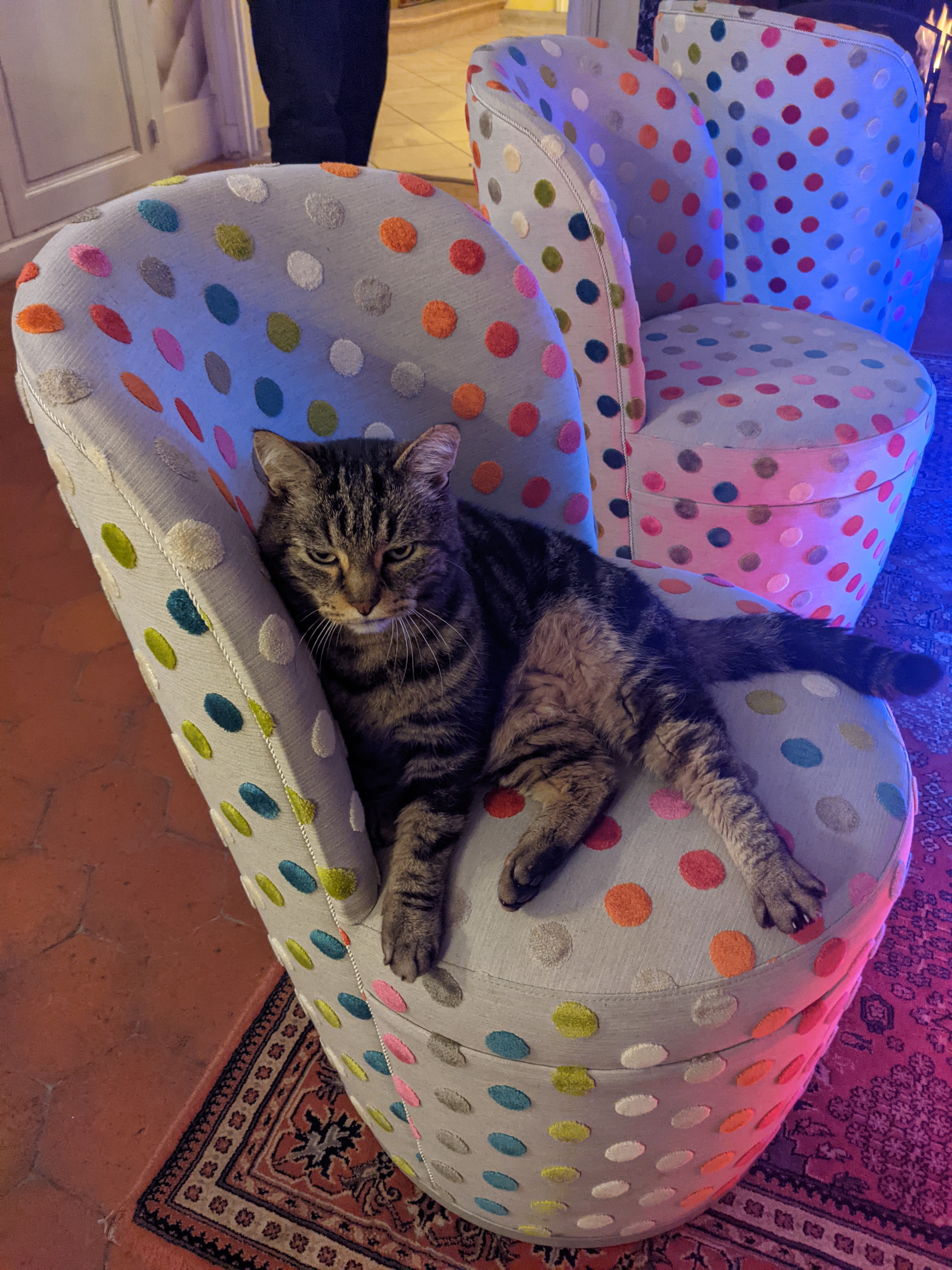 Photo n° 8 de l'avis de Sylvie.a fait le 14/11/2021 à 20:46