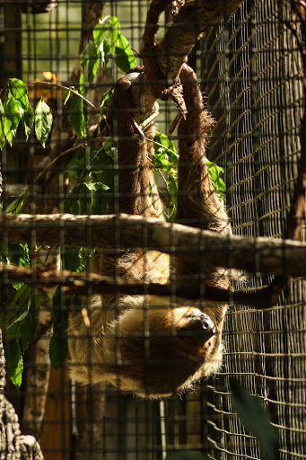 Zoo «Central Florida Zoo & Botanical Gardens», reviews and photos, 3755 NW Hwy 17-92, Sanford, FL 32771, USA