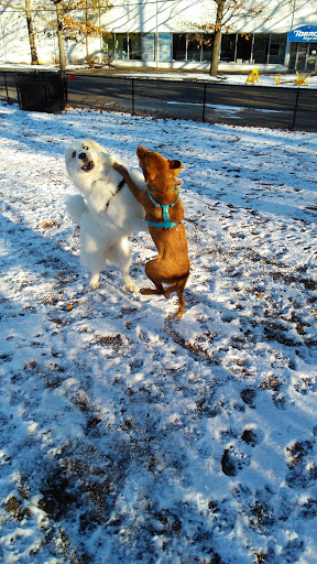 Park «Union Street Dog Park», reviews and photos, 59 Fair St, New Haven, CT 06511, USA