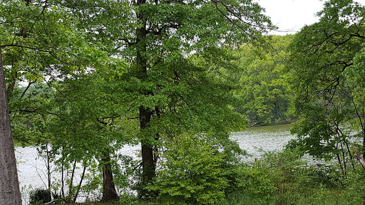 Park «Weequahic Park», reviews and photos, Elizabeth Ave & Meeker Ave, Newark, NJ 07112, USA