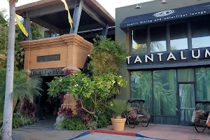 Tantalum Restaurant image