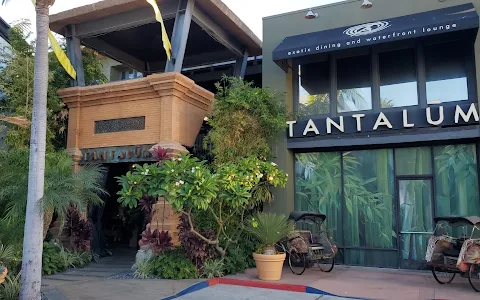 Tantalum Restaurant image