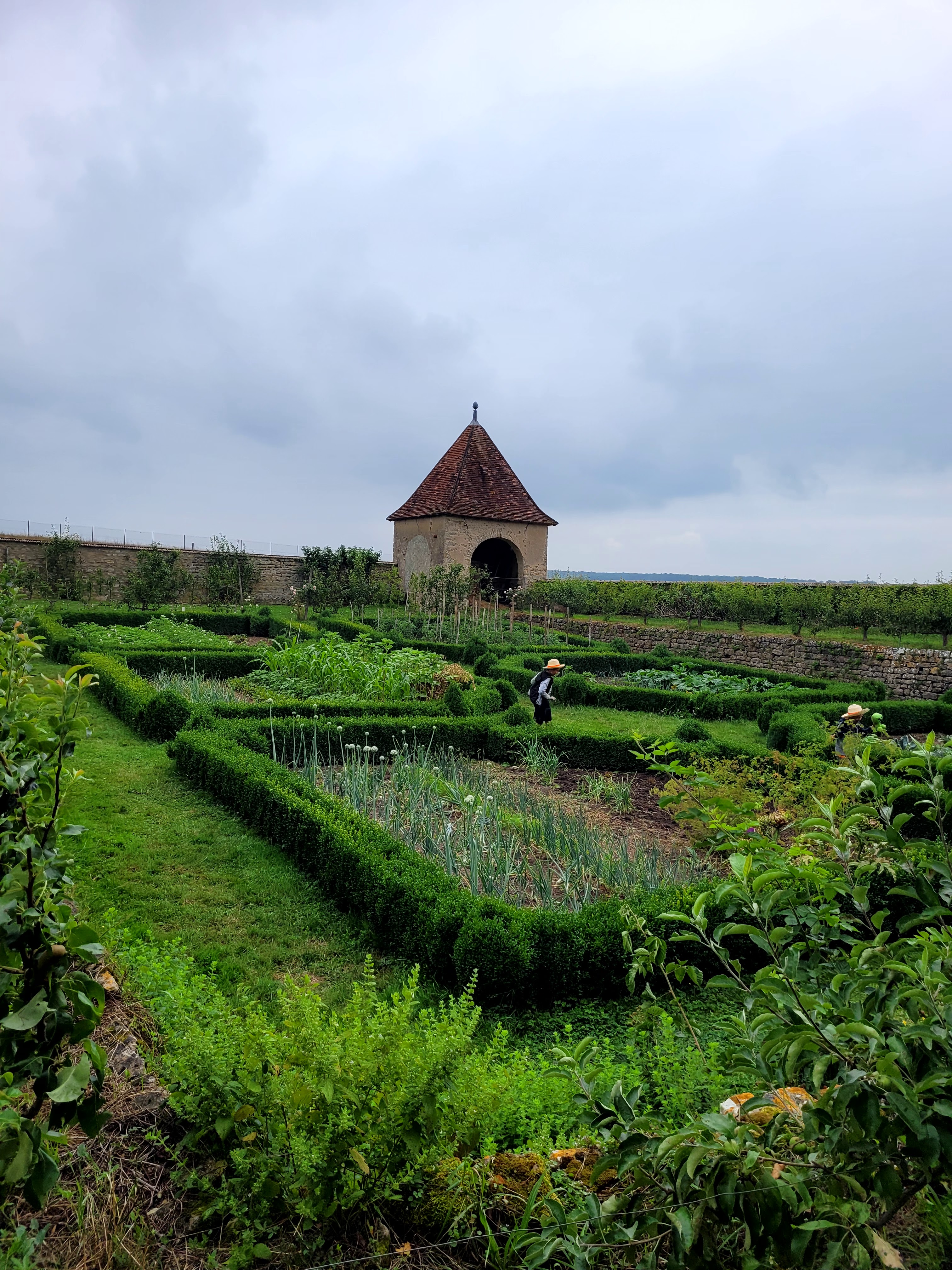 Photo n° 15 de l'avis de Michèle.i fait le 11/12/2022 à 12:04
