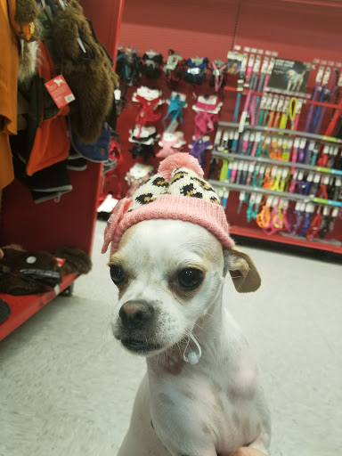 Pet Supply Store «Petco Animal Supplies», reviews and photos, 5843 N Elizabeth St, Pueblo, CO 81008, USA