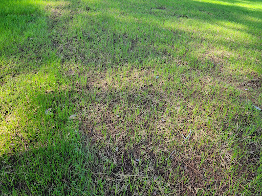 Golf Resort «Wigwam Golf Club», reviews and photos, 451 N Old Litchfield Rd, Litchfield Park, AZ 85340, USA