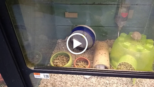 Pet Supply Store «Pet Supplies Plus», reviews and photos, 5161 Gull Rd, Kalamazoo, MI 49048, USA