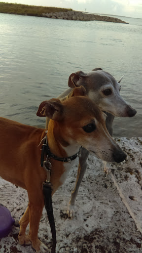 Marina «Fort Pierce City Marina», reviews and photos, 1 Avenue A, Fort Pierce, FL 34950, USA