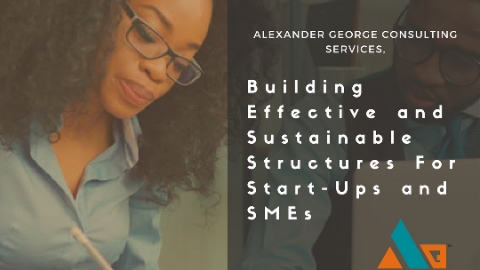Alexander George Consulting Services Limited(AGCSL), 28 Bode Thomas St, Surulere, Lagos, Nigeria, Consultant, state Lagos