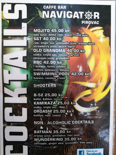 22213, Pirovac