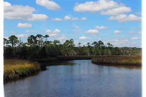 Big Bend Wildlife Management Area - Tide Swamp Unit image