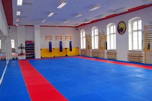 Sportowy Klub Taekwon-do TIGER image