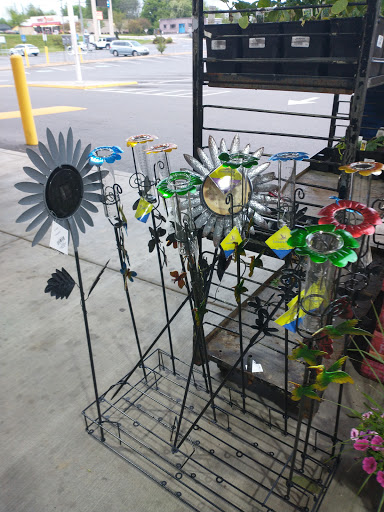 Supermarket «Food City», reviews and photos, 1317 Virginia Ave, Bristol, TN 37620, USA