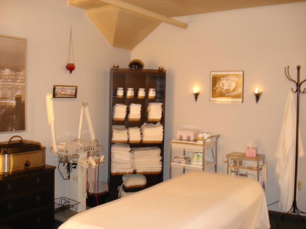 Web of Life Massage and Skincare 55413