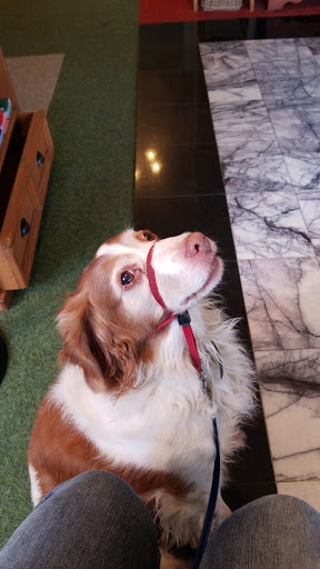 Pet Supply Store «Sellwood Pet Supply», reviews and photos, 8334 SE 17th Ave, Portland, OR 97202, USA