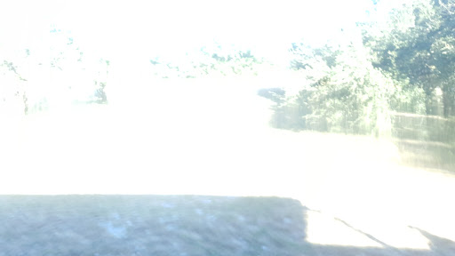 Tattoo Shop «Custom Tattoos By Andy», reviews and photos, 239 Alamo Beach Rd, Pipe Creek, TX 78063, USA