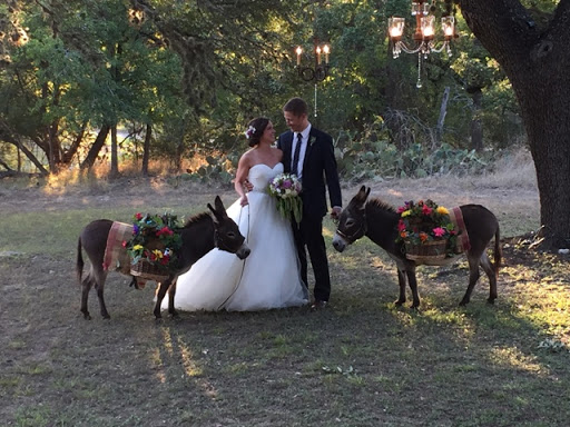 Wedding Venue «Old Glory Ranch», reviews and photos, 3633 River Rd, Wimberley, TX 78676, USA