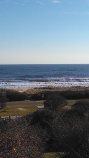 Coffee Shop «Hampton Coffee Company», reviews and photos, 869 Montauk Hwy, Water Mill, NY 11976, USA