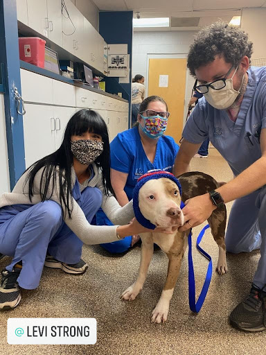 Ebenezer Animal Hospital image