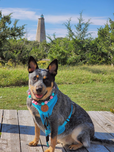 Historical Landmark «Old Baldy Lighthouse & Smith Island Museum», reviews and photos, 101 Light House Wynd, Bald Head Island, NC 28461, USA