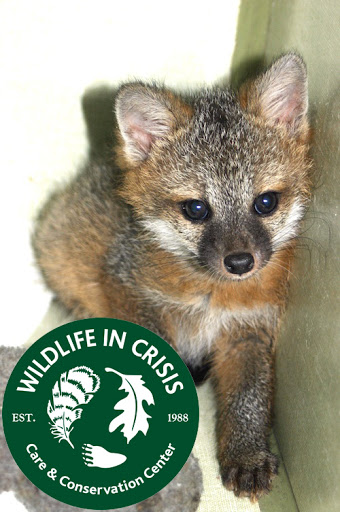 Wildlife Rescue Service «Wildlife In Crisis», reviews and photos, 44 Indian Valley Rd, Weston, CT 06883, USA