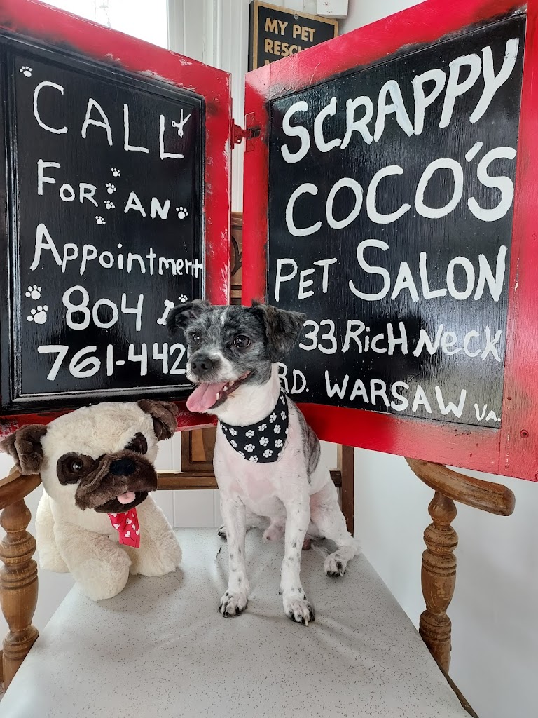 Scrappy Coco's Pet Salon 22572