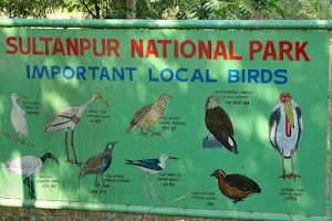 Sultanpur National Park image