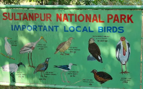 Sultanpur National Park image