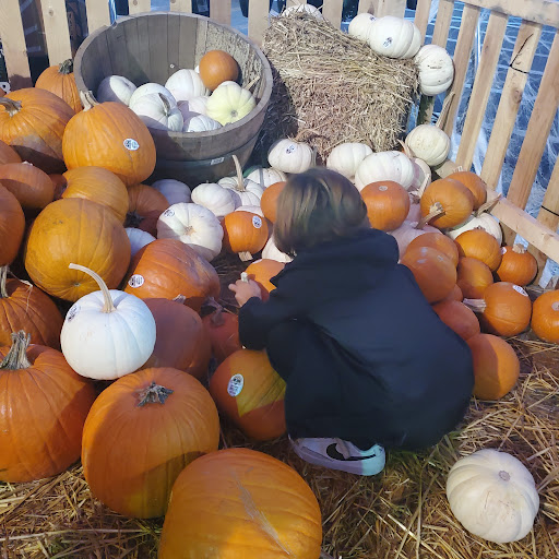 Home Improvement Store «The Home Depot», reviews and photos, 3500 W MacArthur Blvd, Santa Ana, CA 92704, USA