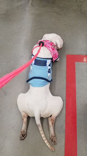 Discount Store «Walmart», reviews and photos, 631 U.S. 9, Little Egg Harbor Township, NJ 08087, USA